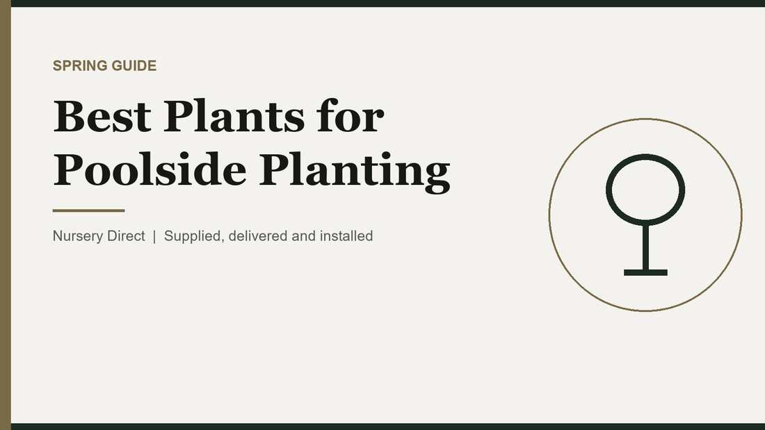 Best Plants for Poolside Planting