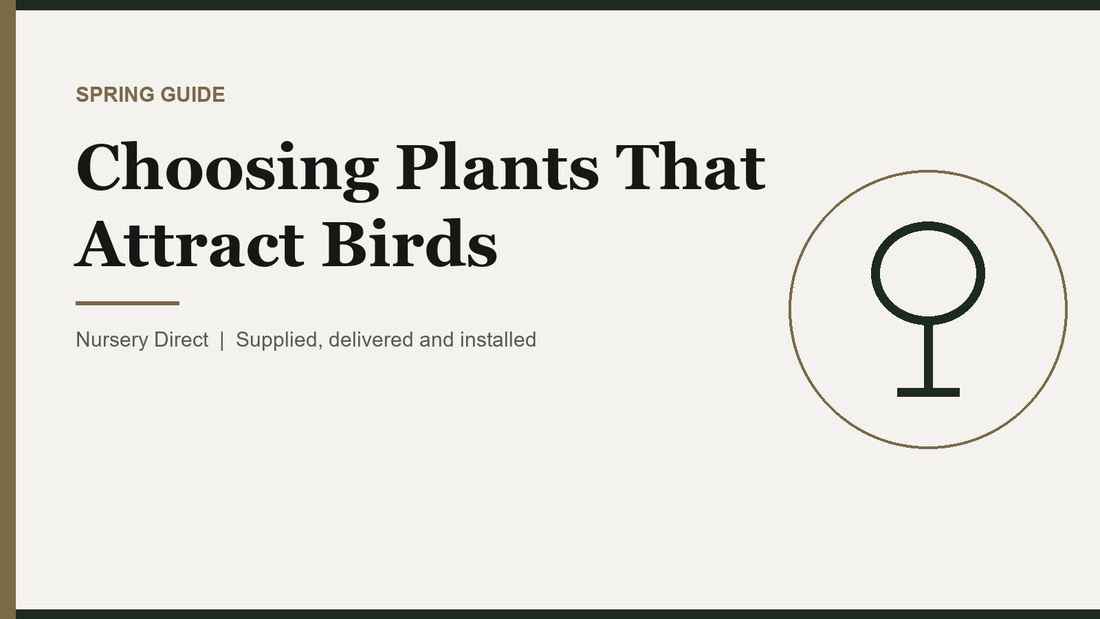 Choosing Plants That Attract Birds