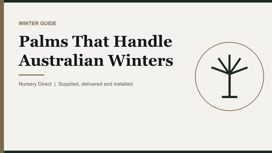 Palms That Handle Australian Winters