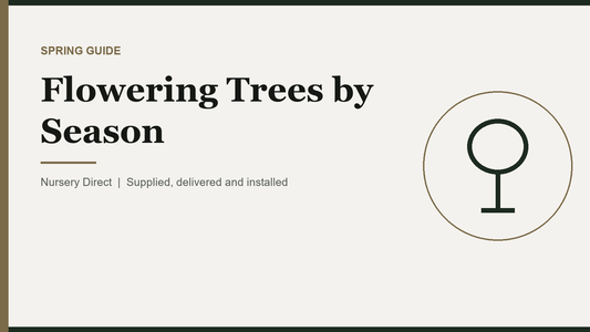 Flowering Trees by Season