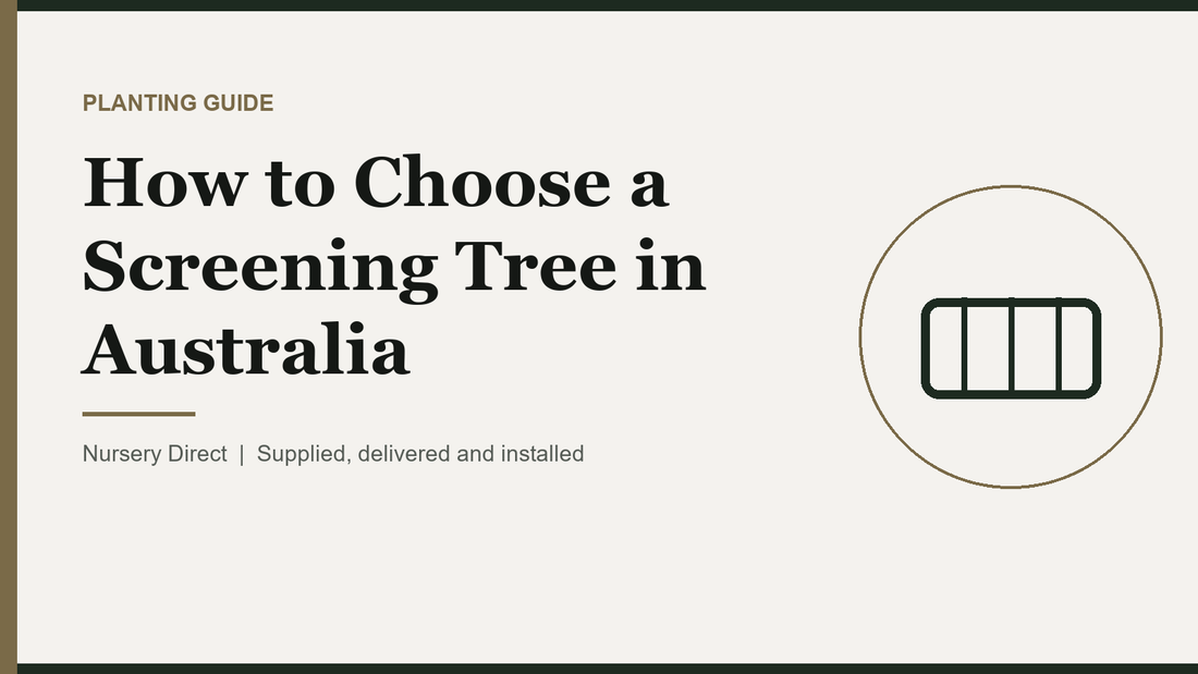 How to Choose a Screening Tree in Australia