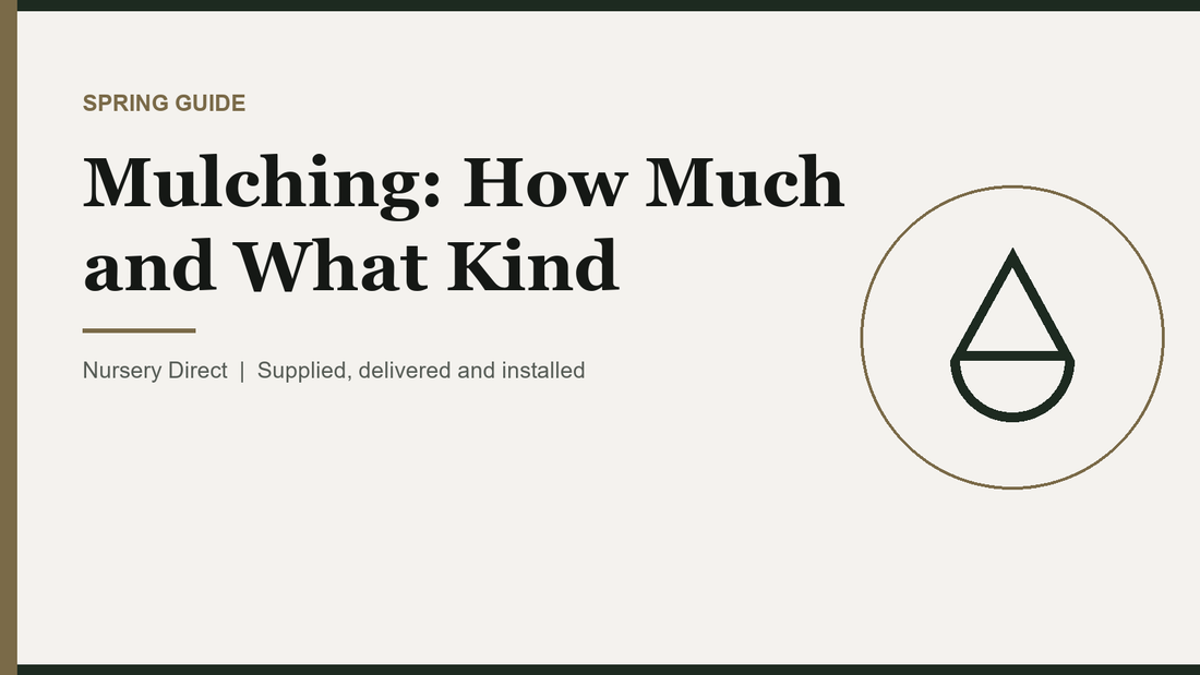 Mulching: How Much and What Kind