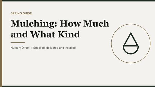 Mulching: How Much and What Kind