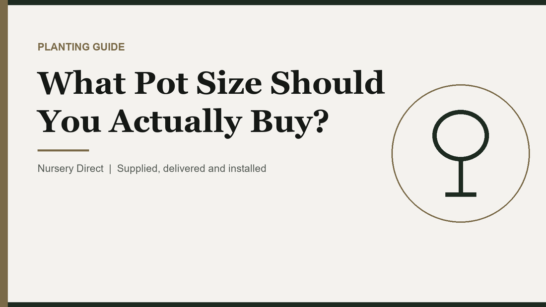 What Pot Size Should You Actually Buy?