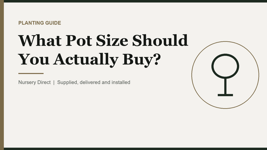 What Pot Size Should You Actually Buy?