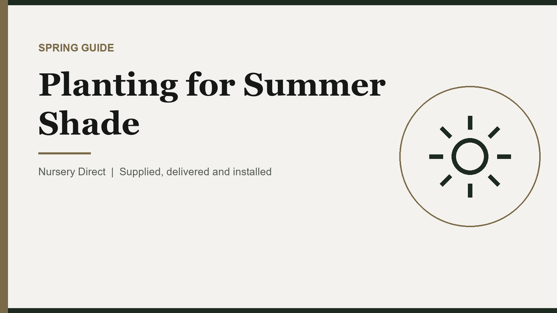 Planting for Summer Shade