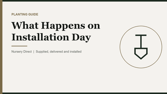What Happens on Installation Day