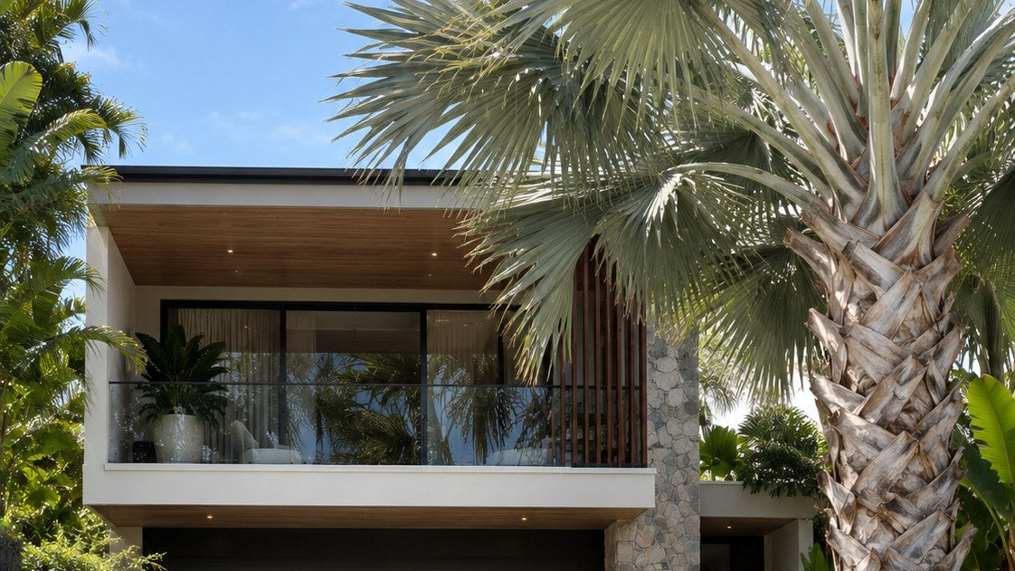 A large silver-blue Bismarck palm (Bismarckia nobilis) with retained leaf-base trunk towering over a modern coastal two-storey home with black garage door, stone pillar and lush tropical understorey of bromeliads and ferns.